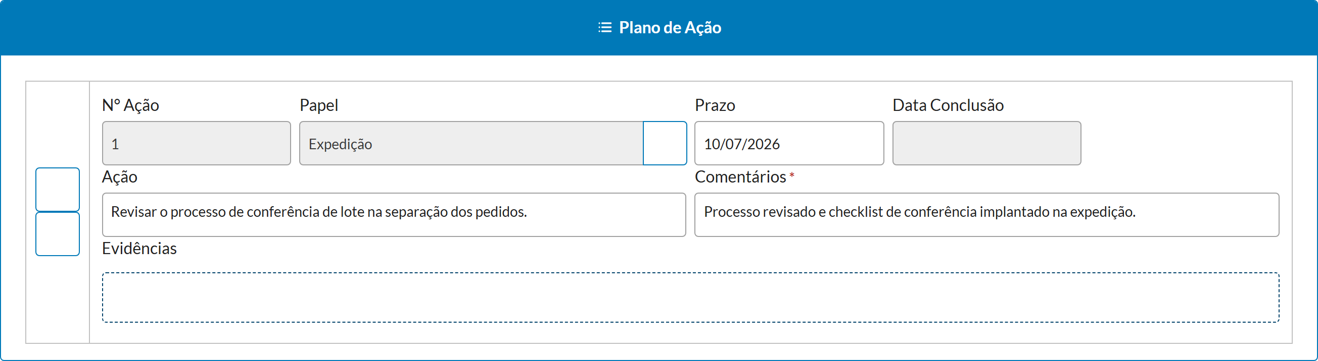 Execução do plano de ação pelo responsável